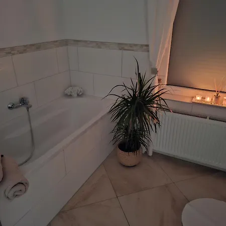 Umgeben Von Seen Und Waeldern Brühl