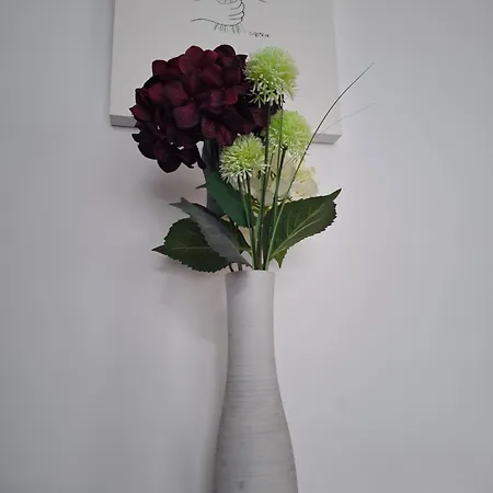 Umgeben Von Seen Und Waeldern * Brühl