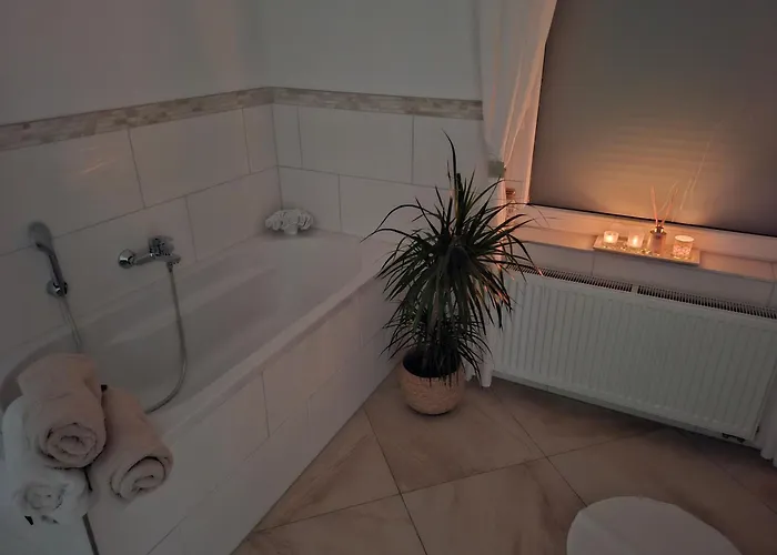 Umgeben Von Seen Und Waeldern Brühl