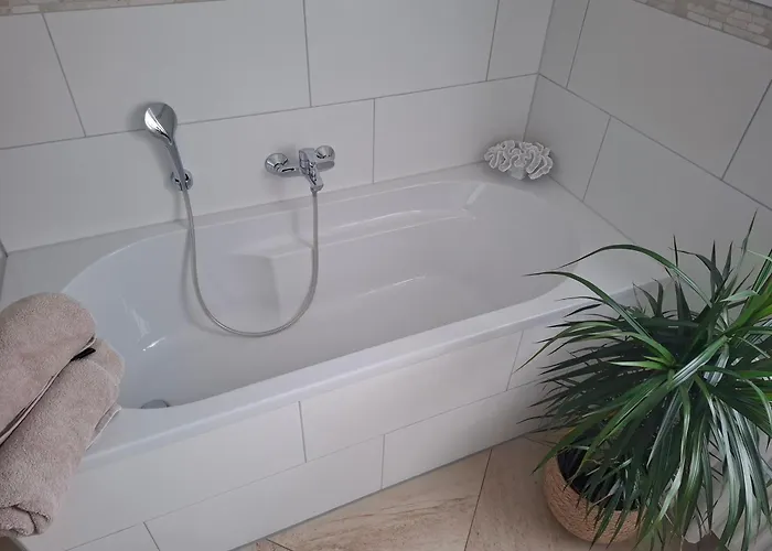 Umgeben Von Seen Und Waeldern * Brühl